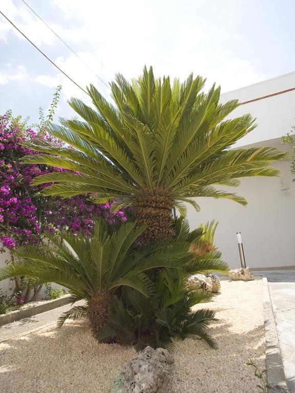 B&B Viro Campi Salentina Exterior photo