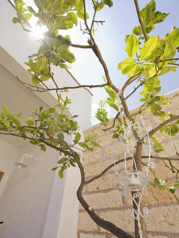 B&B Viro Campi Salentina Exterior photo